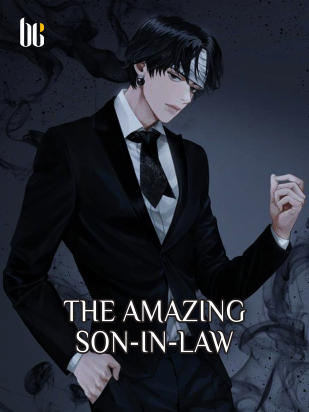 The amazing son in law Novel PDF Free Download