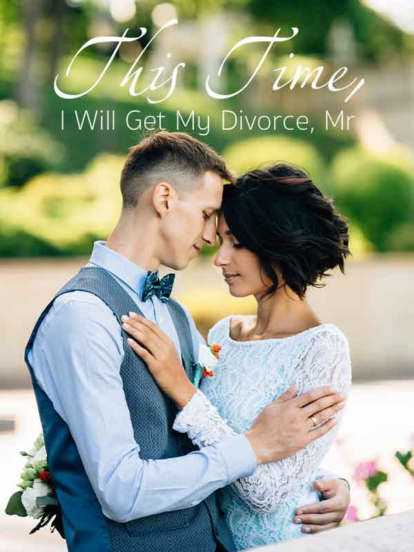 This Time, I Will Get My Divorce, Mr. Novel PDF Free Download/Read Online