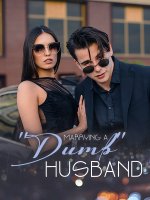 Marrying a Dumb Husband Novel PDF Free Download/Read Online