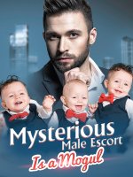 Mysterious Male Escort Is a Mogul Novel PDF Free Download/Read Online