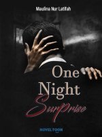 One Night Surprise Novel PDF Free Download/Read Online