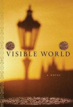 Visible World Novel PDF Download/Read Online
