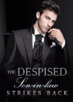 The Despised Son-in-law Strikes Back Novel- Download PDF