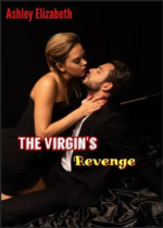 The Virgin’s Revenge Novel PDF Download/Online Reading